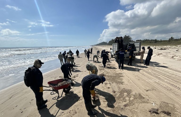 98a8ab1f-cf77-4d84-81b2-27131bf76251