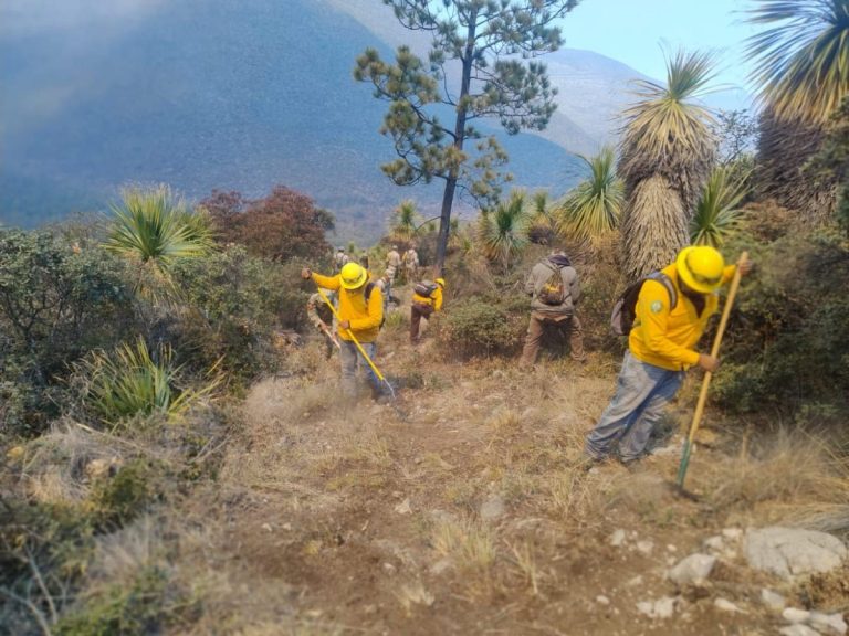 cpc-005-2026-refuerzan-operativo-interinstitucional-para-combatir-incendio-forestal-en-miquihuana-3