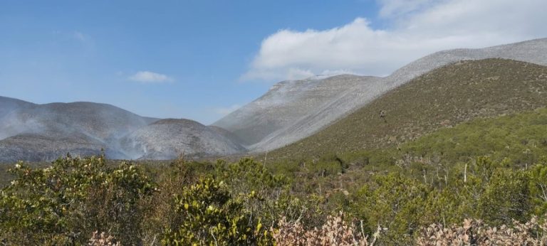 cpc-009-2026-inician-labores-de-combate-en-incendio-forestal-en-el-ejido-joya-de-herrera-bustamante-1