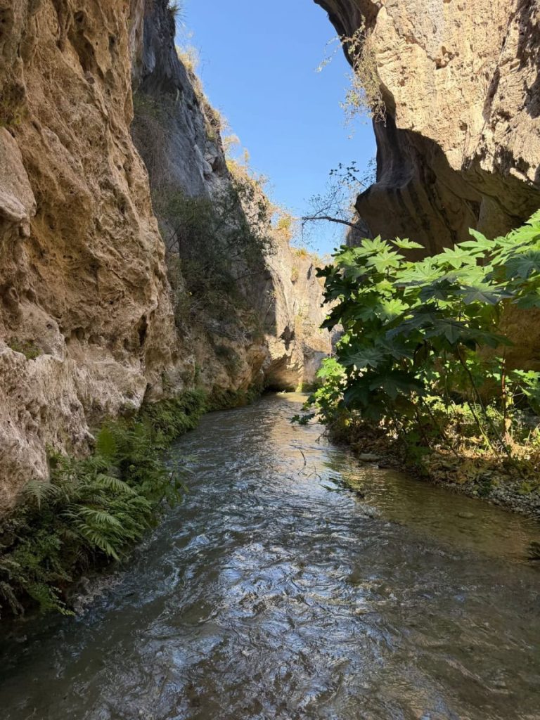 stu-070-2026-vive-la-semana-santa-en-tamaulipas-turismo-2