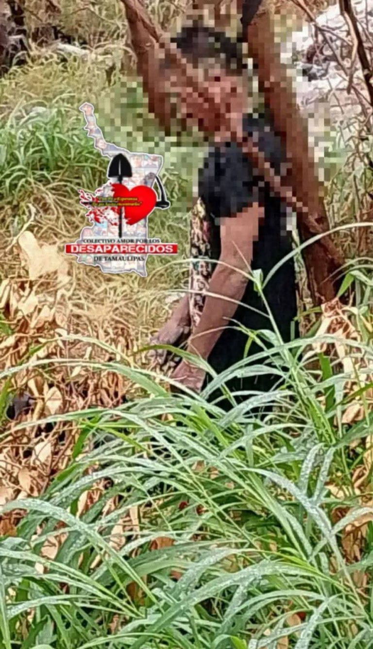 FB_IMG_1775416968046