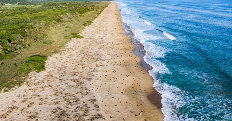 umfmbsjhlrhppdweqcgcwnh5te